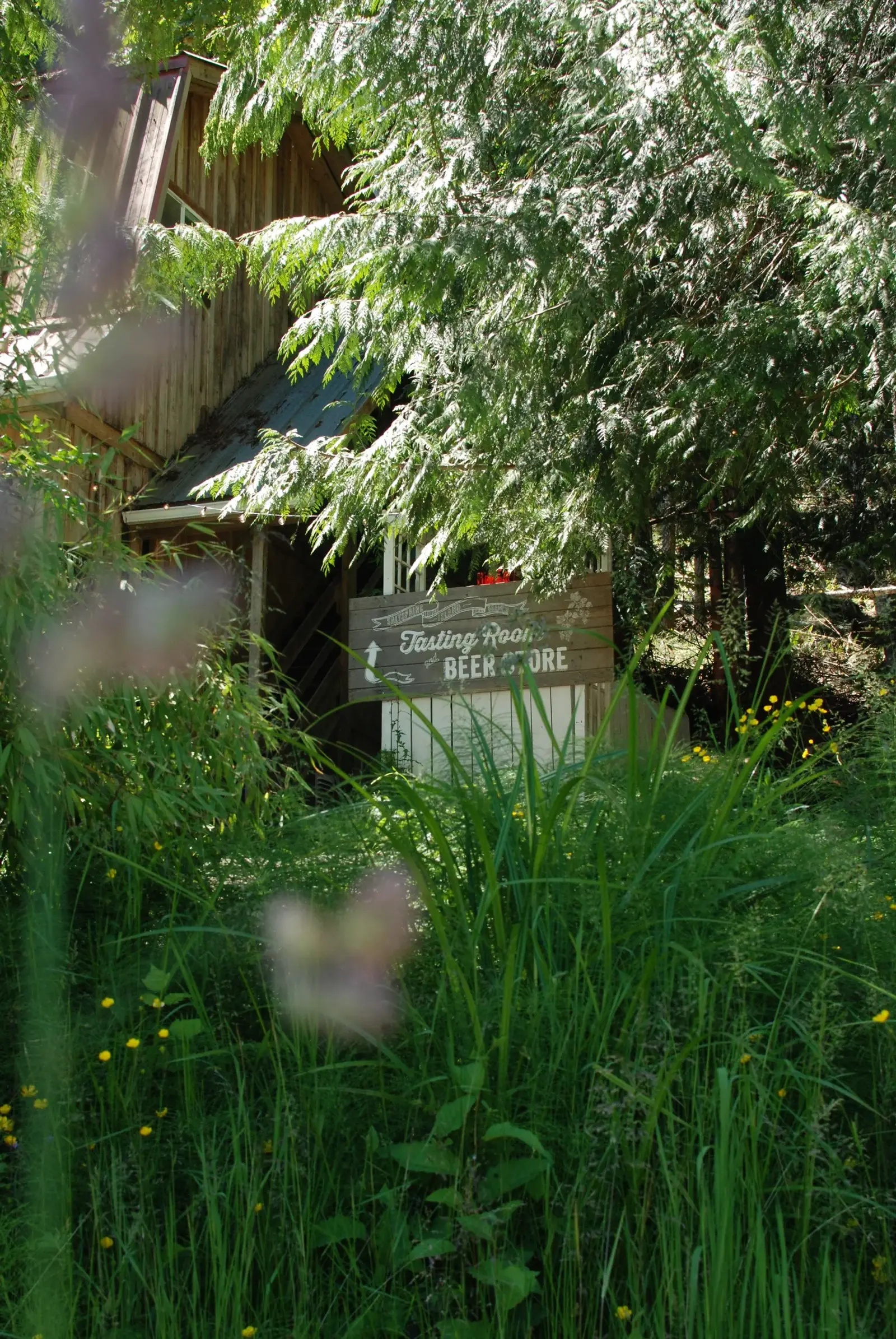 The hand-painted Tasting Room and Beer Store sign in the woods
